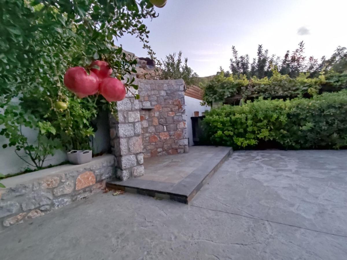 Aithonas Villa Archangelos  Exterior photo