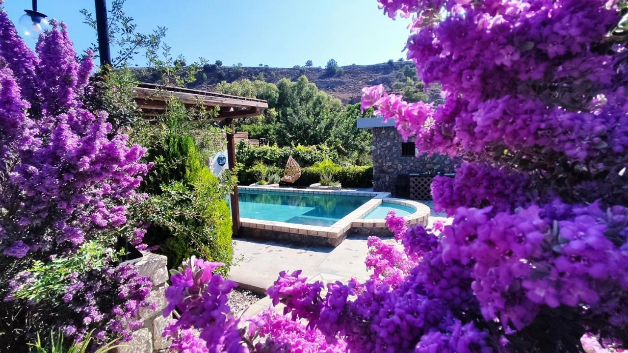 Aithonas Villa Archangelos  Exterior photo