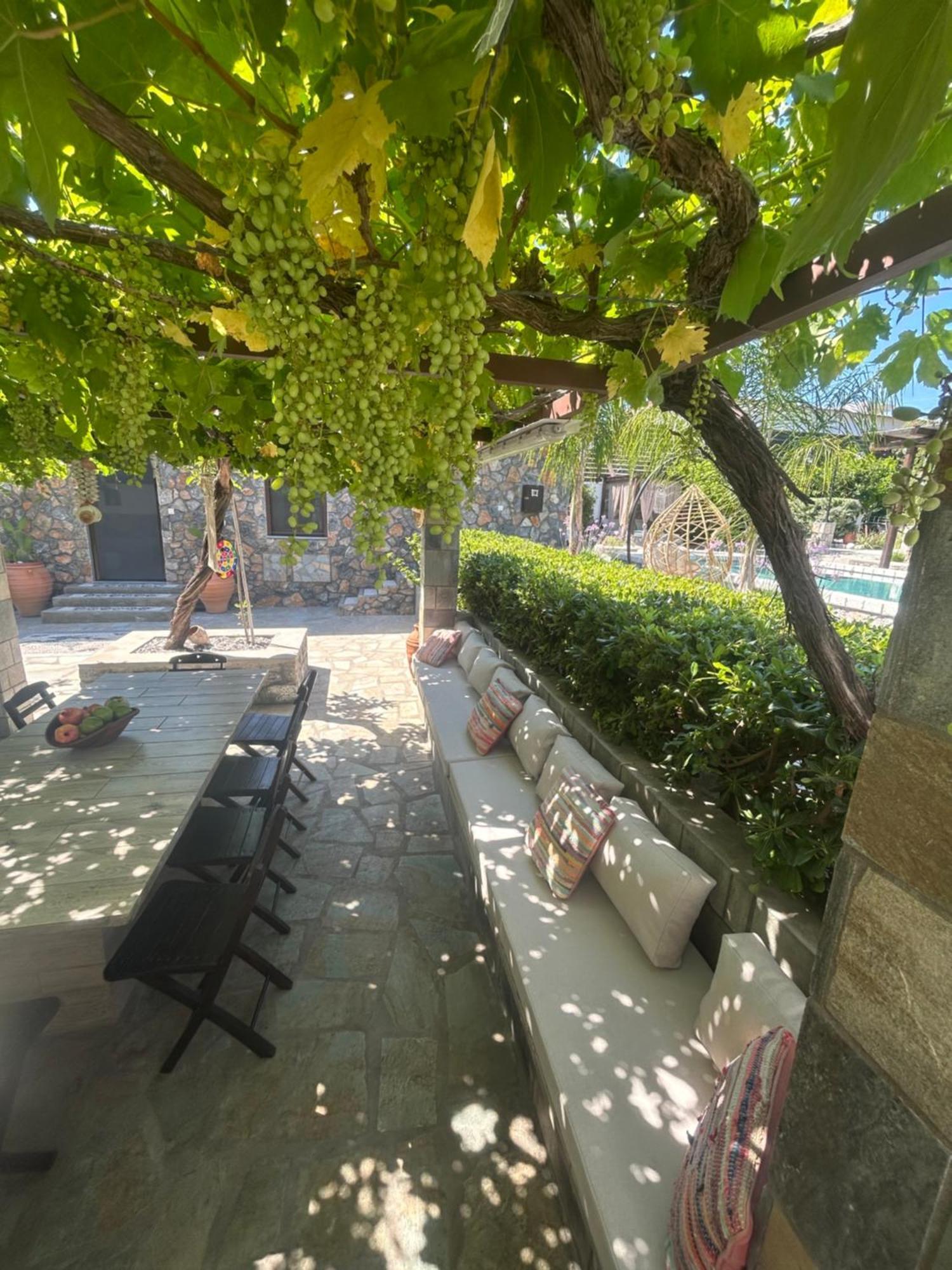 Aithonas Villa Archangelos  Exterior photo