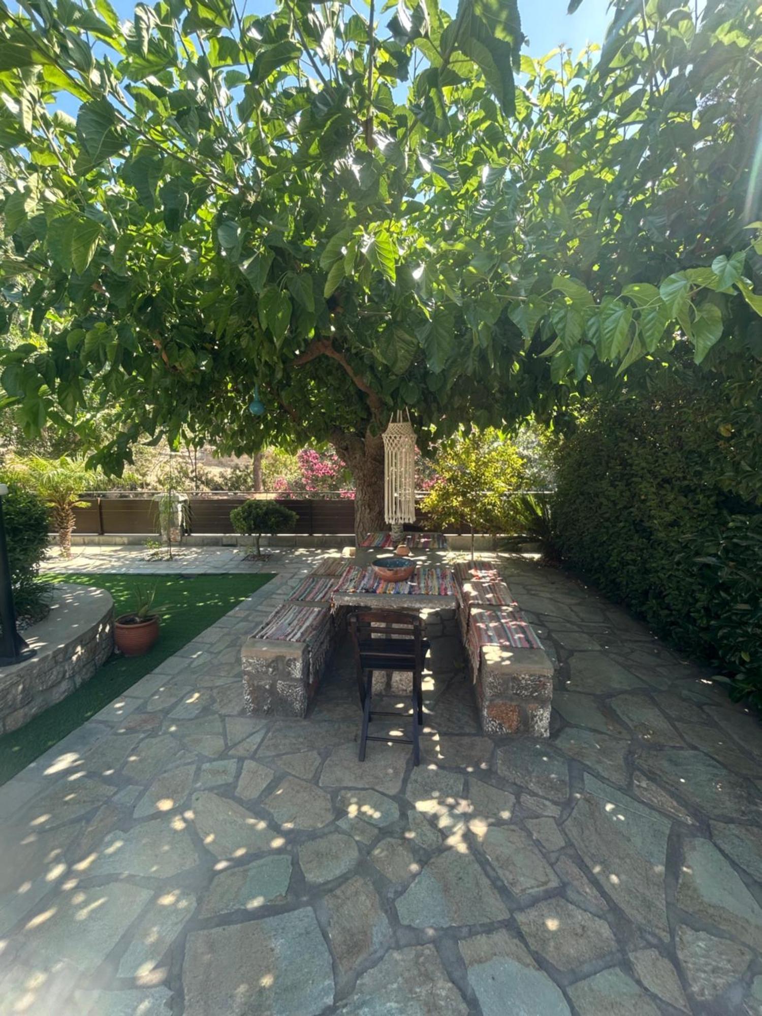 Aithonas Villa Archangelos  Exterior photo